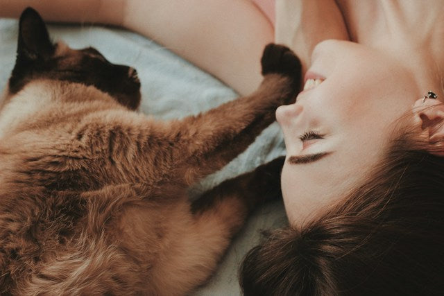 10 SURPRISINGLY CUTE SIGNS THAT YOUR CAT IS HEAD OVER PAWS IN LOVE WITH YOU