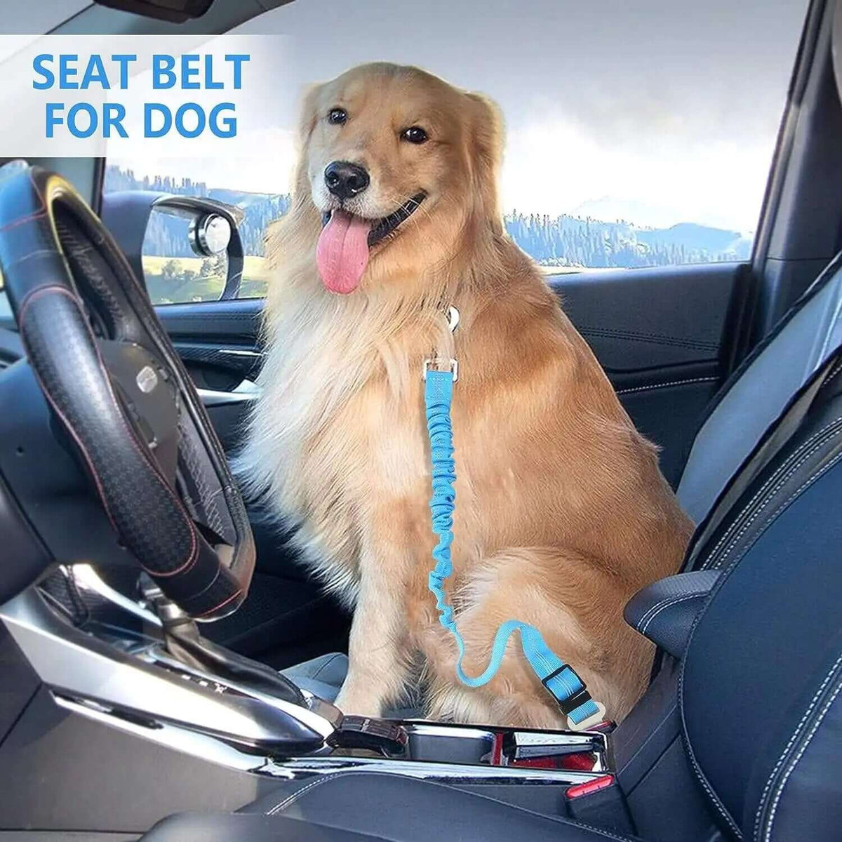 Pet Car Safety Belt