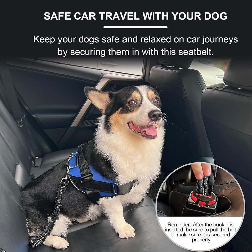 Pet Car Safety Belt